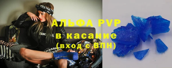 стаф Магас