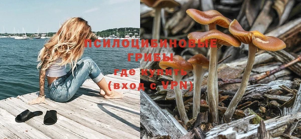 стаф Магас