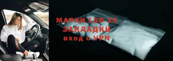 стаф Магас
